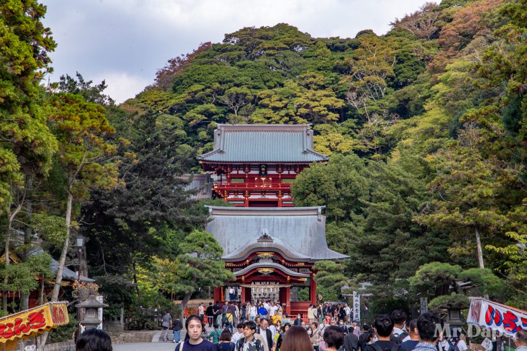 Tsurugaoka Hachimangu - Kamakura - Japan