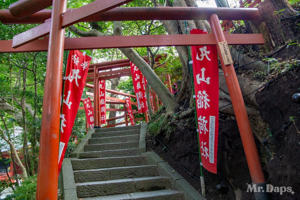 Tsurugaoka Hachimangu - Kamakura - Japan