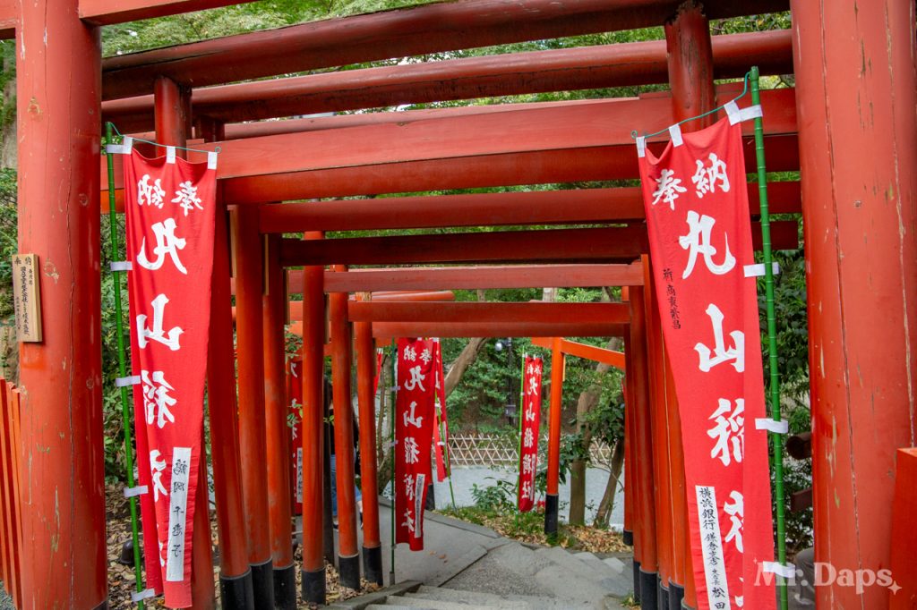 Tsurugaoka Hachimangu - Kamakura - Japan