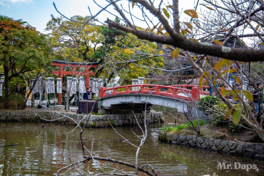 Tsurugaoka Hachimangu - Kamakura - Japan