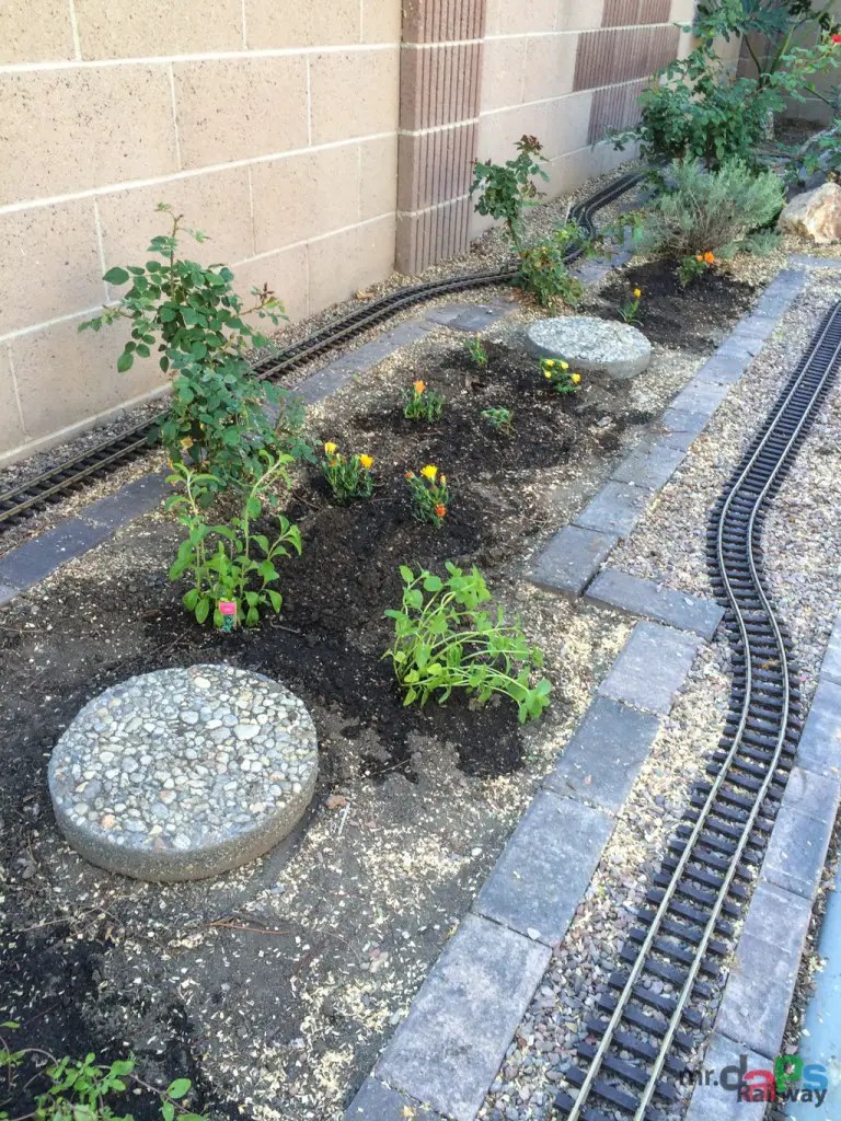 Mr. DAPs Railway – Jacaranda Tree Removal